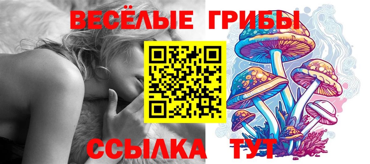 Псилоцибиновые грибы GOLDEN TEACHER  Вход с VPN  Галлюциногенные грибы Cubensis  Красноармейск 